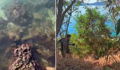 Kaş'ta denize atık su karışması nedeniyle ASAT'a 839 bin lira ceza kesildi