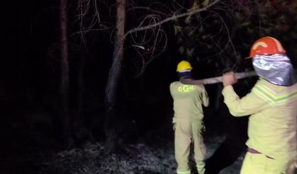 Kaş'taki orman yangını büyük ölçüde kontrol altına alındı