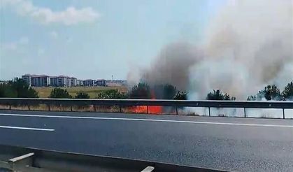 Silivri'de tarlada çıkan yangın TEM Otoyolu trafiğini durdurdu