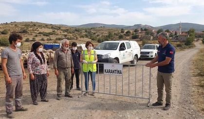 Bergama'da Mavi Dil Hastalığı Nedeniyle 15 Mahallede 40 Günlük Karantina Başladı