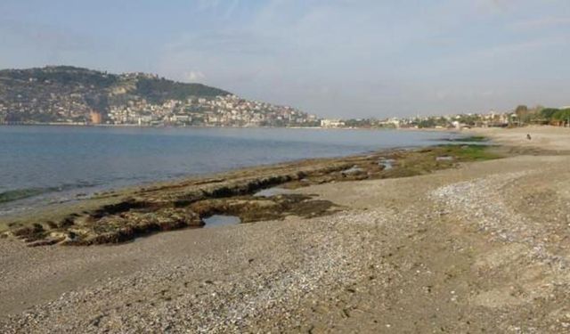 Alanya'da deniz suyu 7-8 metre çekildi