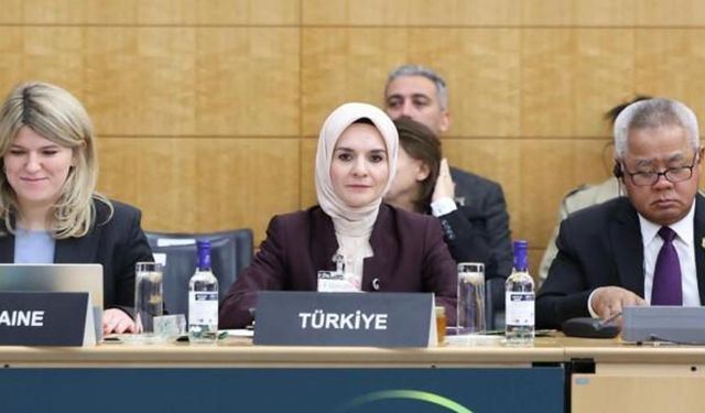 Bakan Göktaş'tan OECD Sosyal Politikalar Bakanlar Toplantısı'nda "aile" vurgusu
