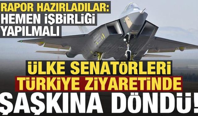 Fransız senatörler Türkiye'yi ziyaret etti, şaşkına döndü: Hemen iş birliği yapılmalı!