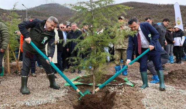 Artvin'de 21 Mart'a özel fidan dikimi