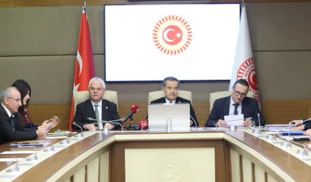 Çocukların şiddet ve istismardan korunmasını araştıran komisyondan son toplantı