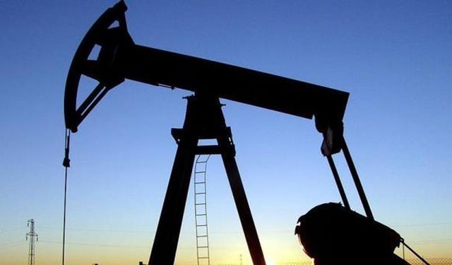 TPAO Siirt’te petrol arama ruhsat sahasını genişletecek