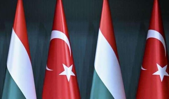 Türkiye'den Macaristan ile doğal gaz ve petrol görüşmesi