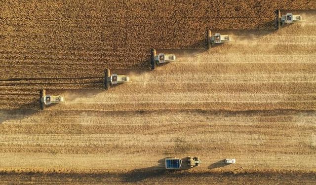 Çiftçilere 6 milyar liralık destek ödemesi bugün yapılacak