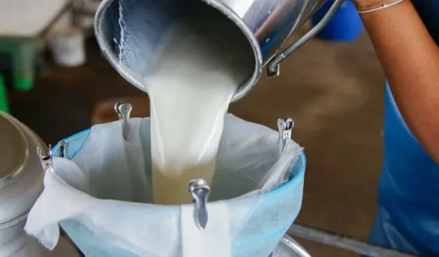 2024'te 22,5 milyon ton çiğ süt ürettik!