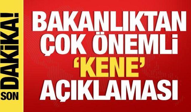 Sağlık Bakanlığı'ndan son dakika 'Kene' açıklaması