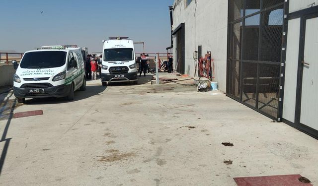 Besi çiftliğinde metan gazı faciası: 2 kişi öldü!