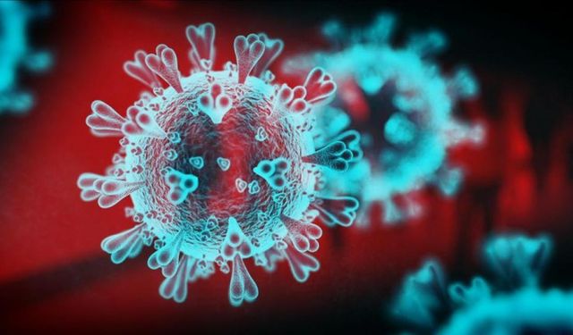 DSÖ'den Chikungunya uyarısı: 5,6 milyar kişi risk altında! Türkiye'de de görüldü