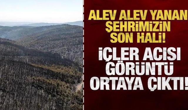 Günlerdir alev alev yanan şehrimizin son hali: İçler acısı görüntü ortaya çıktı!