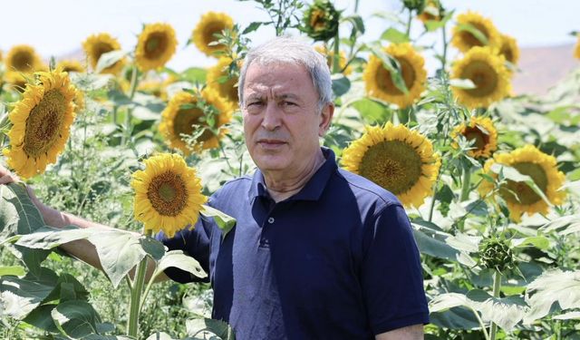 Hulusi Akar'dan ayçiçeği tarlasında anlamlı mesaj: Terörsüz Büyük Güçlü Türkiye - TBGT