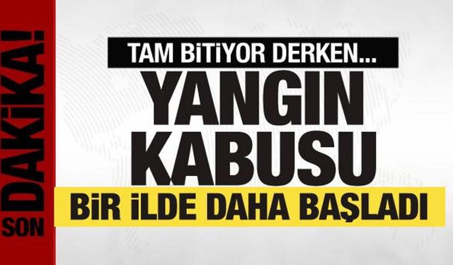 Yangınlarla mücadele sürüyor! Alevler bir ili daha sardı
