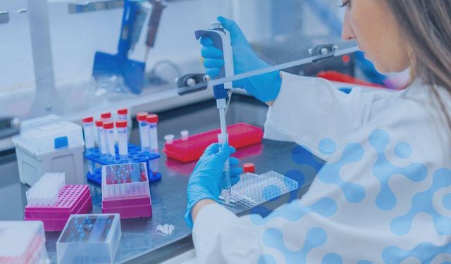 Memişoğlu'ndan yönetmelik açıklaması: Dünyaya örnek olacak yeni bir dönemi başlatıyoruz