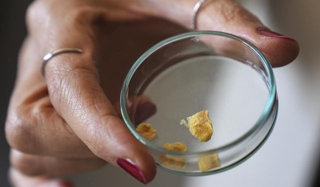 Balık kılçığı yüksek kaliteli kolajene dönüştürüldü