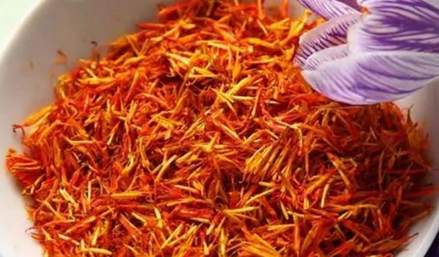 Dünyanın en pahalı baharatı! Adana'da hasat edildi Gramı tam 600 TL