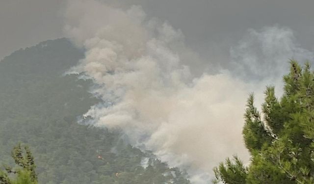 Hatay'da iki ayrı noktada çıkan yangın kontrol altına alındı