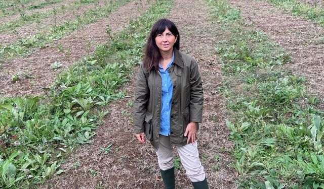 Kariyerini bıraktı, toprağa döndü: Seda Cem, kadın çiftçilere ilham oluyor!