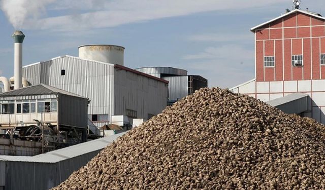 Kayseri Şeker bu sezon 475 bin ton şeker üretimi hedefliyor
