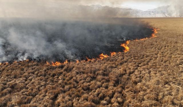 Nehil Sazlığı'ndaki yangın 4 gün sonra söndürüldü