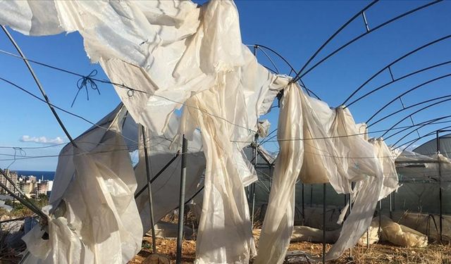 Tarım sigortaları kapsamında ekimde üreticilere 11,6 milyar lira hasar tazminatı ödendi