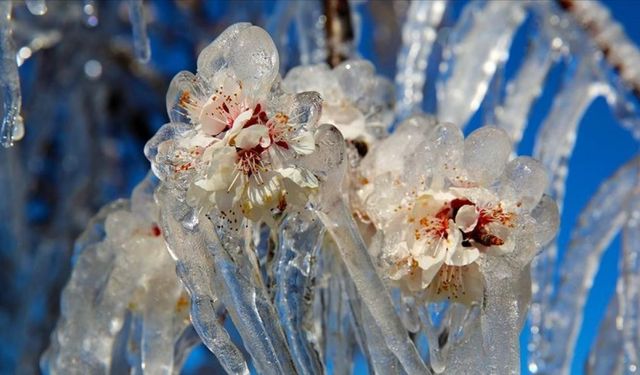 Üreticiye müjde! Hesaplarınızı kontrol edin