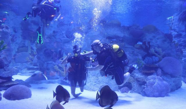 Engelliler, su altı dalışı yaparak yeteneklerini sergiledi