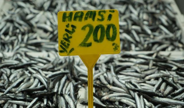 Hamside bolluk azaldı, fiyatı 200 TL'ye çıktı