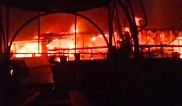 Hindistan'da gece kulübü faciası: 25 ölü