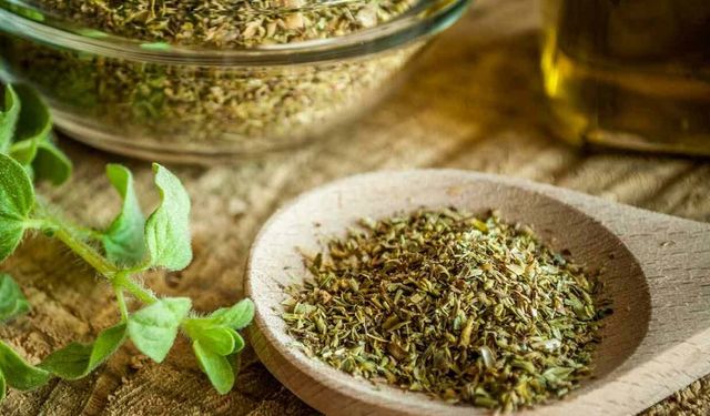 Kanserden koruyor, iltihabı yok ediyor! Sağlığınıza en güçlü yatırım...