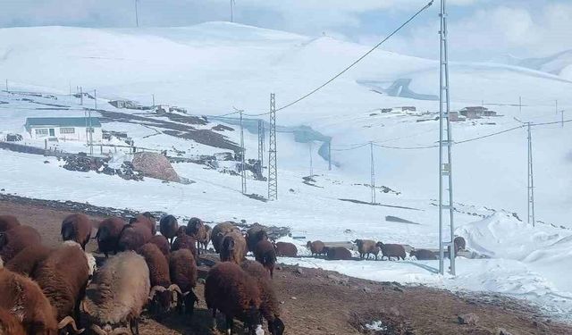 Ağrı'nın Gündoğdu Köyünde Nisan Ayında Yoğun Kar Yağışı Ulaşımı Engelledi