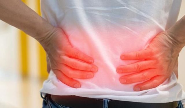 At Nalı Böbrek Anomalisi: Sessiz Tehlike ve Sağlık Riskleri