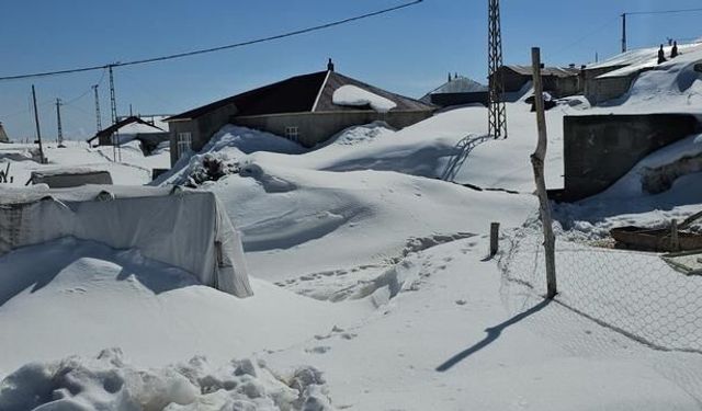 Bitlis'te Nisan Ayında Yoğun Kar Yağışı Hayatı Olumsuz Etkiliyor