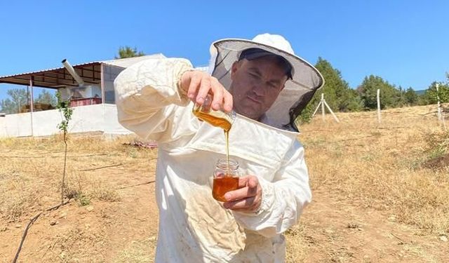 Eskişehir'in Balı Dünyanın En İyisi Seçildi