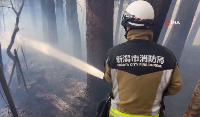 Japonya'da 1.618 Hektarlık Alan Yangında Zarar Gördü