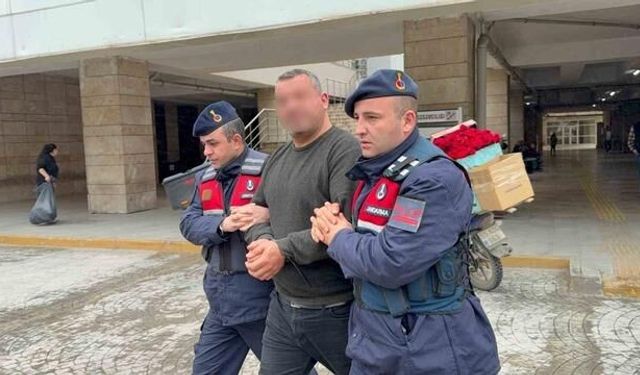 Samsun'da Büyükbaş Hayvan Dolandırıcılığı: 1 Kişi Tutuklandı