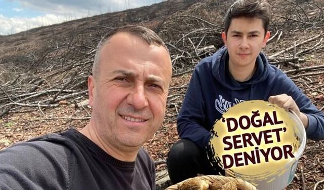 Tavşanlı'da Baba-Oğulun Mantar Avı Zenginliği