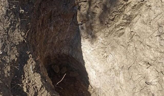 Tekirdağ Çene Mahallesi Mezarlığında İzinsiz Kazı İddiası