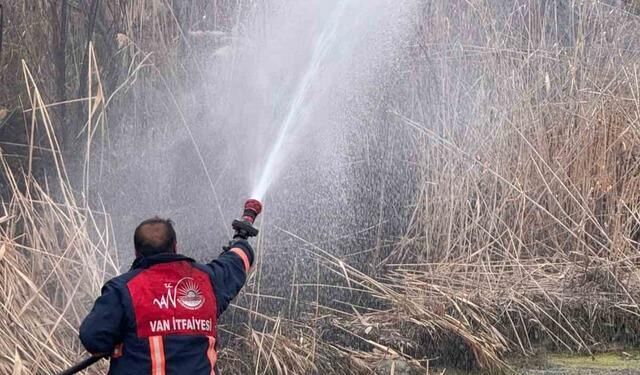 Van'da sazlık alanda yangın