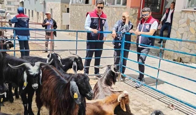 Bozdoğan'da Kurban Satış Noktalarında Sıkı Denetim