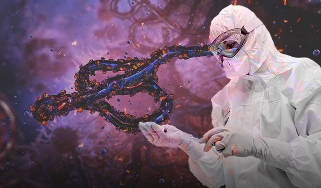 DSÖ, Kongo'daki Ebola Salgını İçin Acil Toplantı Düzenliyor