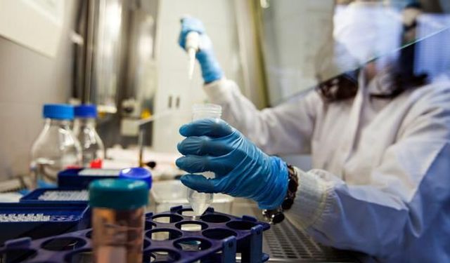 DSÖ, Kongo'daki Ebola Salgını Nedeniyle Küresel Acil Durum İlan Etti