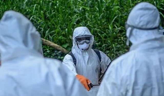 DSÖ Uyardı: Demokratik Kongo'daki Ebola Salgını Grip Belirtileriyle Karışabilir