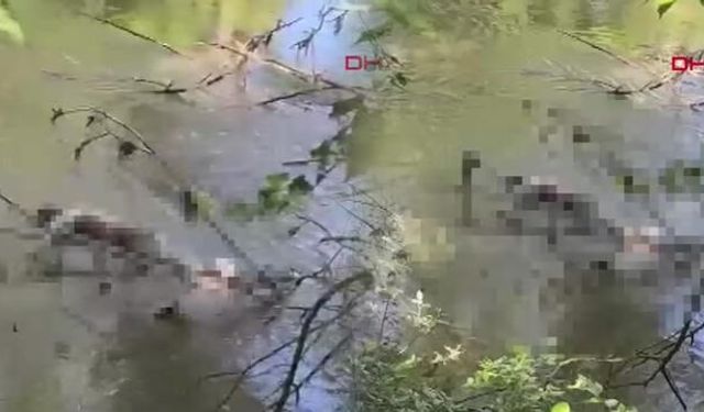 Edirne'de Tunca Nehri'nde 9 Saat Arayla İki Arkadaşın Cansız Bedenleri Bulundu