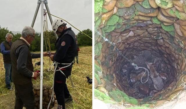 İtfaiye Ekipleri Su Kuyusuna Düşen Tilkiyi Kurtardı