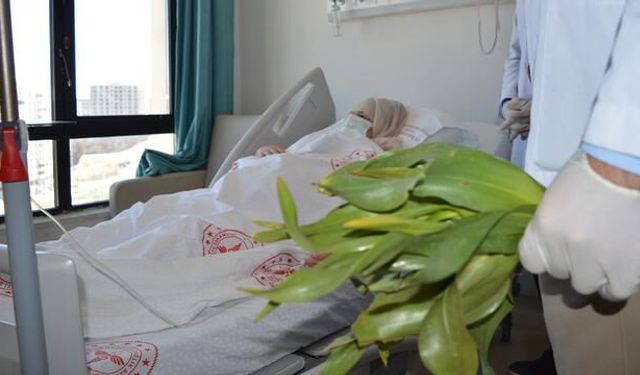 Mardin'de Yanlış Ot Tüketimi İç Organlara Zarar Verdi