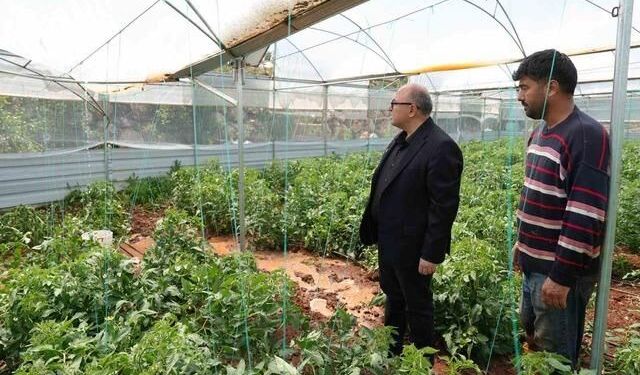 Mersin Erdemli'de Dolu Tarım Alanlarına Zarar Verdi