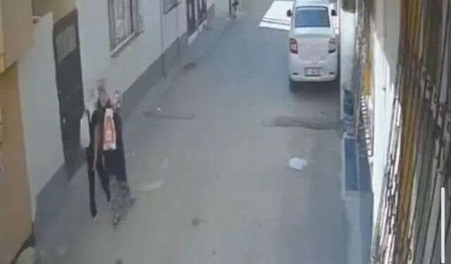 Adana'da Kadın Hırsızlar Evden Gıda ve Elektrikli Ocak Çaldı